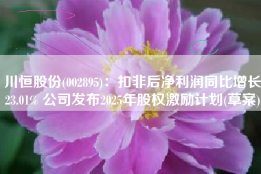 川恒股份(002895)：扣非后净利润同比增长23.01% 公司发布2025年股权激励计划(草案)