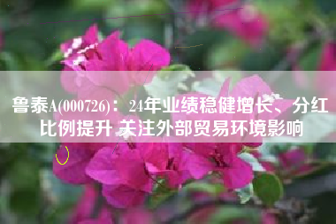 鲁泰A(000726)：24年业绩稳健增长、分红比例提升 关注外部贸易环境影响
