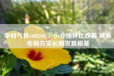 华特气体(688268)：Q4业绩环比改善 横纵布局夯实长期发展根基