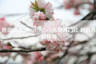 燕京啤酒(000729)：25Q1实现开门红 利润再超预期