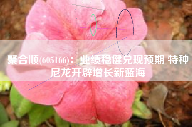 聚合顺(605166)：业绩稳健兑现预期 特种尼龙开辟增长新蓝海