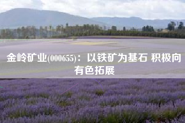 金岭矿业(000655)：以铁矿为基石 积极向有色拓展