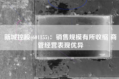 新城控股(601155)：销售规模有所收缩 商管经营表现优异