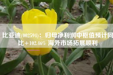 比亚迪(002594)：归母净利润中枢值预计同比+102.46% 海外市场拓展顺利