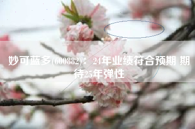 妙可蓝多(600882)：24年业绩符合预期 期待25年弹性