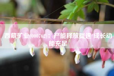 西藏矿业(000762)：产能释放提速 成长动能充足