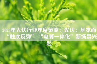 2025年光伏行业年度策略：光伏：基本面“触底反弹” “电算一体化”新场景兴起