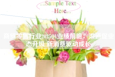 商贸零售行业2025Q1业绩前瞻：渠道促业态升级 新消费驱动成长