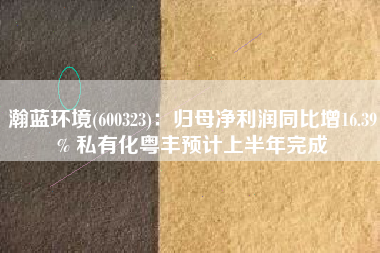 瀚蓝环境(600323)：归母净利润同比增16.39% 私有化粤丰预计上半年完成