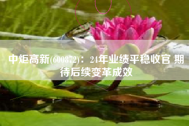 中炬高新(600872)：24年业绩平稳收官 期待后续变革成效