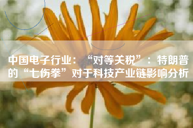 中国电子行业：“对等关税”：特朗普的“七伤拳”对于科技产业链影响分析