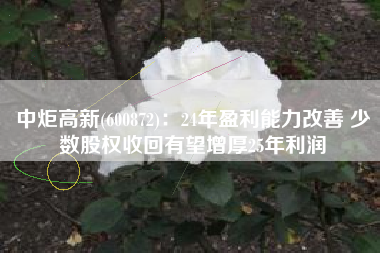 中炬高新(600872)：24年盈利能力改善 少数股权收回有望增厚25年利润