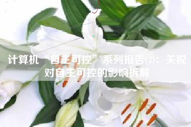 计算机“自主可控”系列报告(3)：关税对自主可控的影响拆解