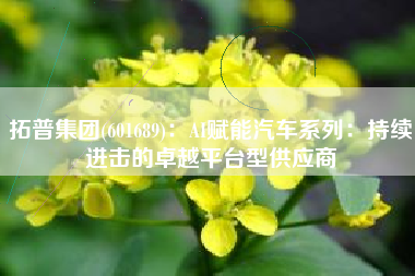 拓普集团(601689)：AI赋能汽车系列：持续进击的卓越平台型供应商