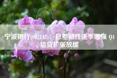 宁波银行(002142)：息差韧性逐季增强 Q4信贷扩张放缓