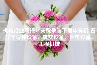 机械行业周报：关税争端下危中有机 看好半导体设备、轨交设备、锂电设备、工程机械