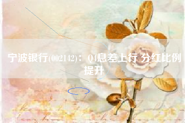 宁波银行(002142)：Q4息差上行 分红比例提升