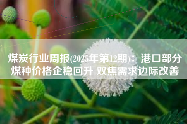 煤炭行业周报(2025年第12期)：港口部分煤种价格企稳回升 双焦需求边际改善