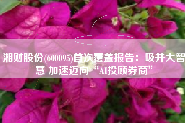 湘财股份(600095)首次覆盖报告：吸并大智慧 加速迈向“AI投顾券商”