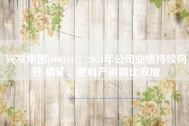 兴发集团(600141)：2024年公司业绩持续向好 磷矿、肥料产销同比双增