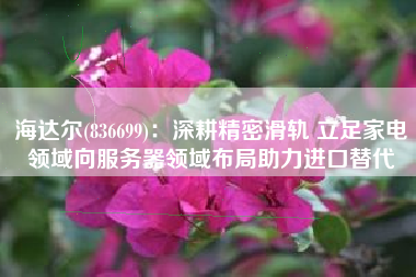 海达尔(836699)：深耕精密滑轨 立足家电领域向服务器领域布局助力进口替代
