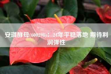 安琪酵母(600298)：24年平稳落地 期待利润弹性