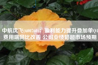 中航沈飞(600760)：盈利能力提升叠加单Q4费用端同比改善 公司业绩略超市场预期