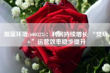瀚蓝环境(600323)：利润持续增长 “焚烧+”运营效率稳步提升