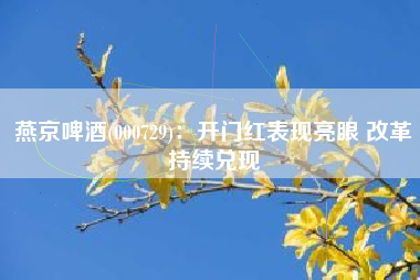 燕京啤酒(000729)：开门红表现亮眼 改革持续兑现