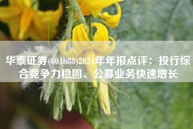 华泰证券(601688)2024年年报点评：投行综合竞争力稳固、公募业务快速增长