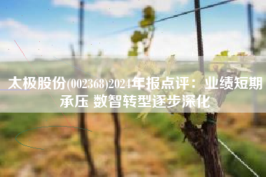 太极股份(002368)2024年报点评：业绩短期承压 数智转型逐步深化