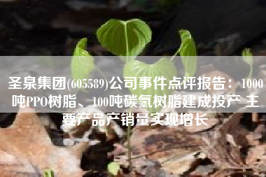 圣泉集团(605589)公司事件点评报告：1000吨PPO树脂、100吨碳氢树脂建成投产 主要产品产销量实现增长