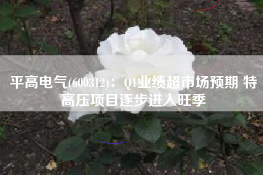 平高电气(600312)：Q1业绩超市场预期 特高压项目逐步进入旺季