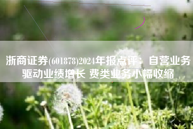 浙商证券(601878)2024年报点评：自营业务驱动业绩增长 费类业务小幅收缩