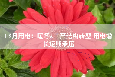 1-2月用电：暖冬&二产结构转型 用电增长短期承压