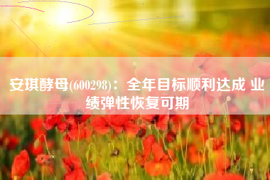 安琪酵母(600298)：全年目标顺利达成 业绩弹性恢复可期