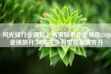 风光储行业周报：两家风电企业预告25Q1业绩飙升 风电龙头有望迎量价齐升