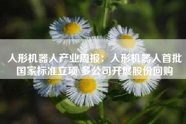 人形机器人产业周报：人形机器人首批国家标准立项 多公司开展股份回购