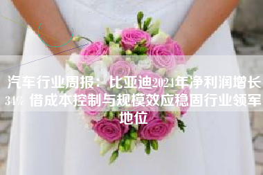汽车行业周报：比亚迪2024年净利润增长34% 借成本控制与规模效应稳固行业领军地位