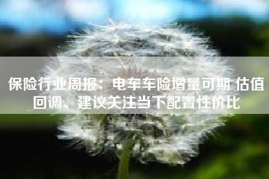 保险行业周报：电车车险增量可期 估值回调、建议关注当下配置性价比