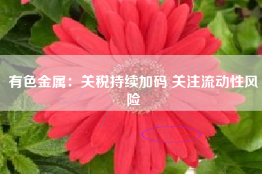 有色金属：关税持续加码 关注流动性风险
