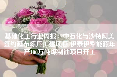 基础化工行业周报：中石化与沙特阿美签约延布炼厂扩建项目 伊泰伊犁能源年产100万吨煤制油项目开工