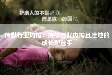 传媒行业周报：持续看好内需且洼地的成长型选手
