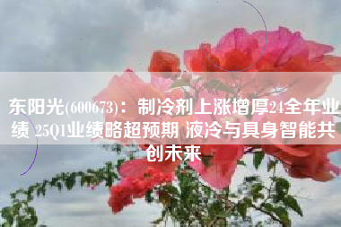 东阳光(600673)：制冷剂上涨增厚24全年业绩 25Q1业绩略超预期 液冷与具身智能共创未来