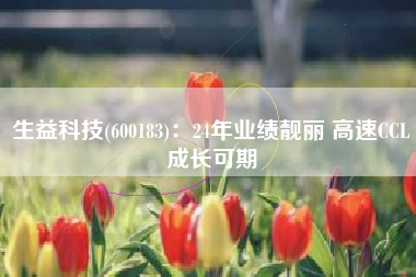 生益科技(600183)：24年业绩靓丽 高速CCL成长可期