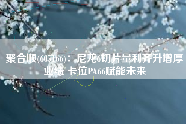 聚合顺(605166)：尼龙6切片量利齐升增厚业绩 卡位PA66赋能未来
