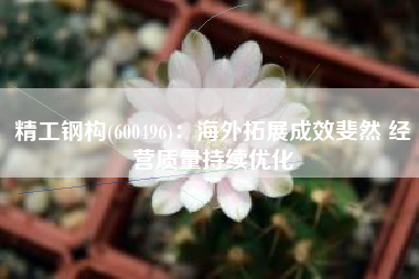 精工钢构(600496)：海外拓展成效斐然 经营质量持续优化