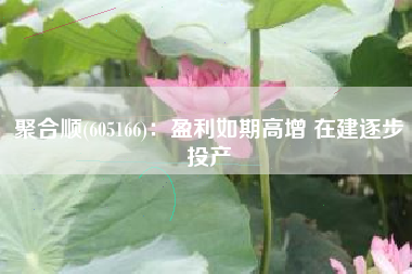 聚合顺(605166)：盈利如期高增 在建逐步投产