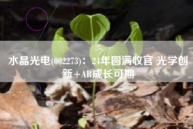 水晶光电(002273)：24年圆满收官 光学创新+AR成长可期