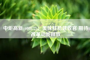 中炬高新(600872)：美味鲜稳健收官 期待改革动能释放